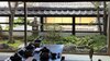 四季の味ちひろ （Japanese restaurant chihiro）