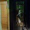 金澤 平山 （カナザワ ヒラヤマ）